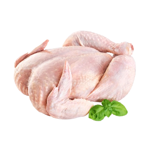 full-chicken-e1726377464648-removebg-preview